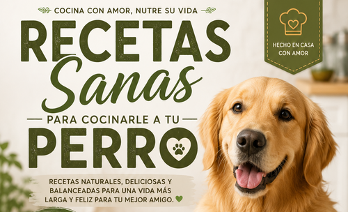 Plato Feliz - portada recetas caseras para perros